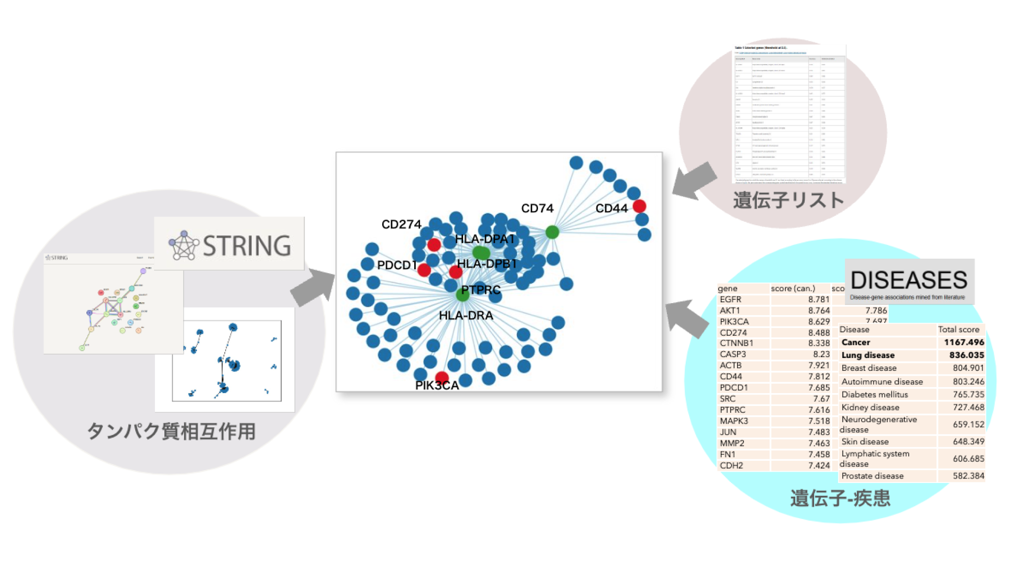 複数データベースを組み合わせた統合解析​