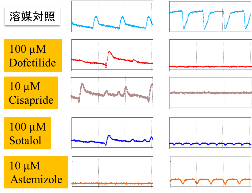 iPS由来心筋細胞を用いた薬剤の催不整脈の評価​
