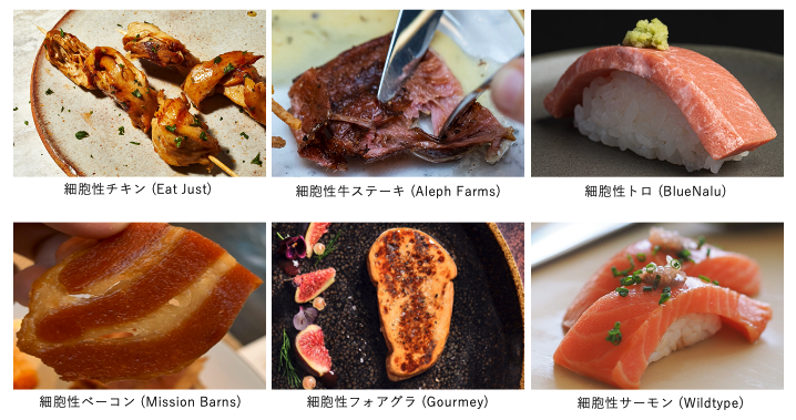 細胞性食品