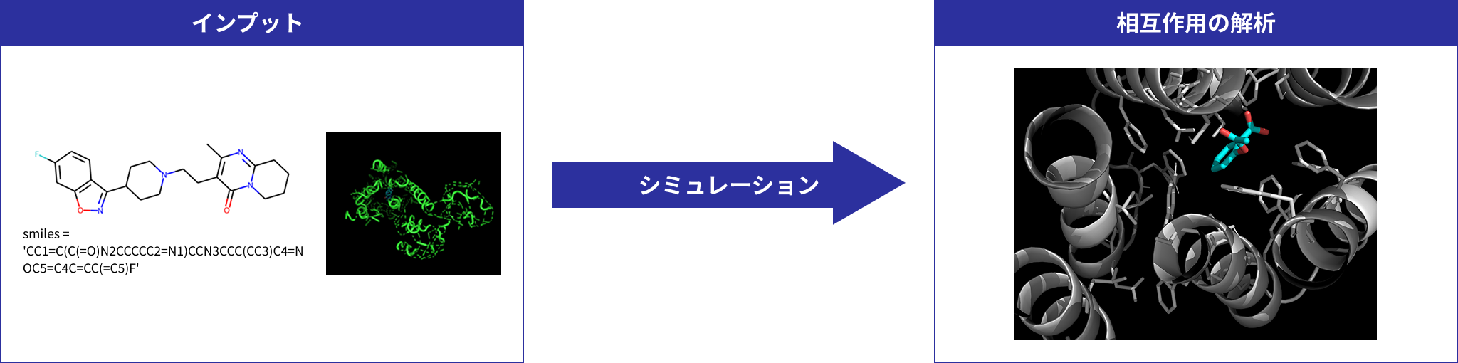 インプット→シミュレーション→相互作用の解析