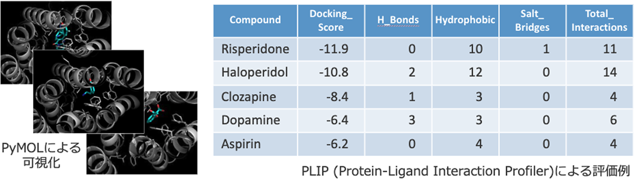 PyMOLによる可視化／PLIP(Protein-Ligand Interaction Profiler)による評価例