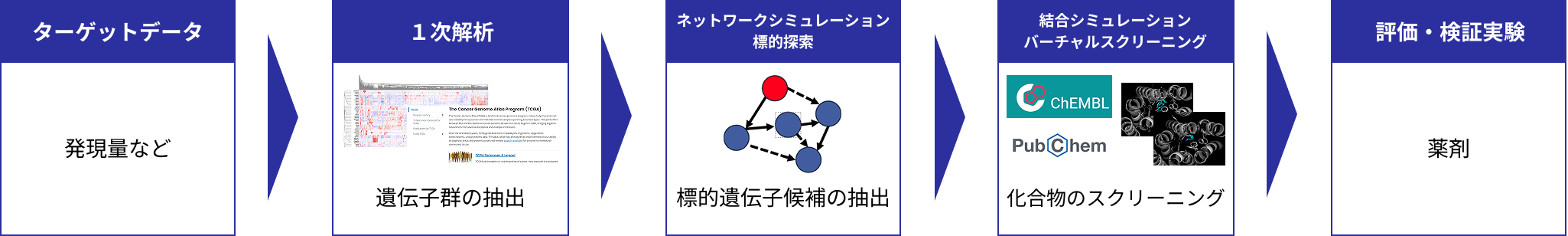 ターゲットデータ（発現量など）→１次解析（遺伝子群の抽出）→ネットワークシミュレーション標的探索（標的遺伝子候補の抽出）→結合シミュレーション​バーチャルス​クリーニング（化合物・遺伝子​の選別）→評価・検証​実験​（薬剤）